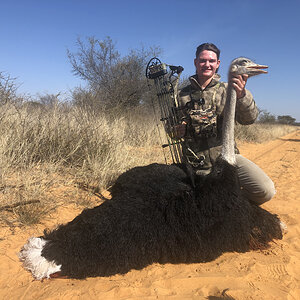 Ostrich Bow Hunt South Africa