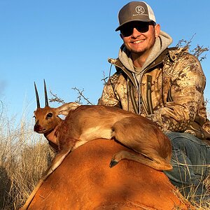 Steenbok Bow Hunting South Africa