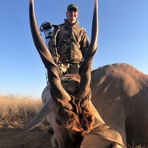 Eland Bow Hunting South Africa