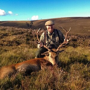 Red Deer Hunting Scottland