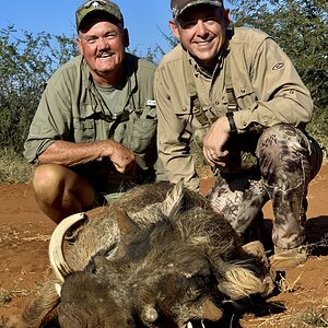 Warthog Hunt South Africa