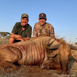 Golden Wildebeest Hunt South Africa