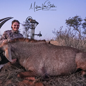 Bow Hunting Gemsbok South Africa