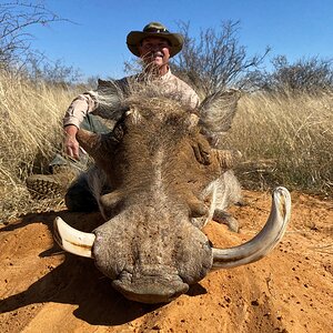 Warthog Hunting South Africa