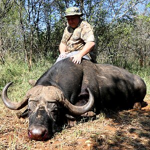 Buffalo Hunting South Africa