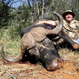 Buffalo Hunting South Africa