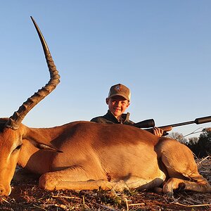 Impala Hunting South Africa