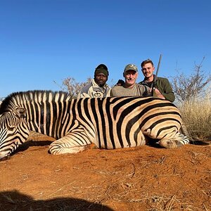 Zebra Hunt South Africa