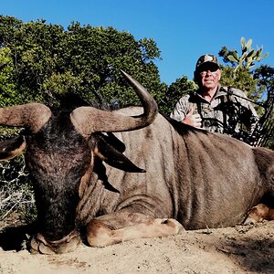 Blue Wildebeest Compound Bow Hunt