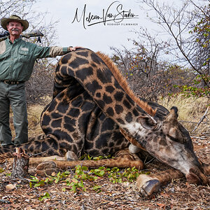 Giraffe Hunt South Africa