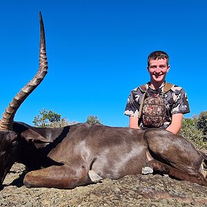 Black Impala Hunt Eastern Cape South Africa