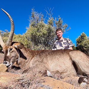 Waterbuck Hunt Eastern Cape South Africa