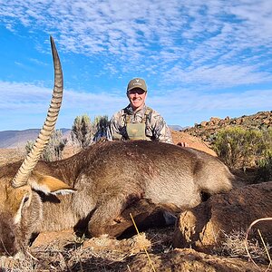 Waterbuck Hunt Eastern Cape South Africa