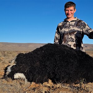 Ostrich Hunt Eastern Cape South Africa