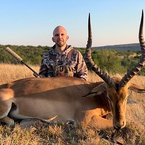 Impala Hunt Eastern Cape South Africa