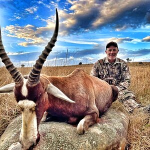 Blesbok Hunt Eastern Cape South Africa