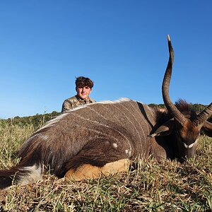 Nyala Hunt Eastern Cape South Africa