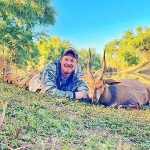 Bushbuck Hunting South Africa