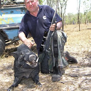 Hunting Pig Australia