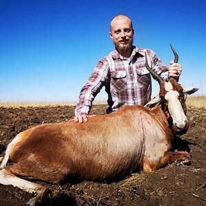 Blesbok Hunting South Africa