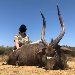 Nyala Hunting South Africa