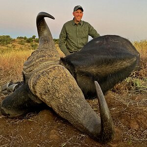 Cape Buffalo hunt South Africa