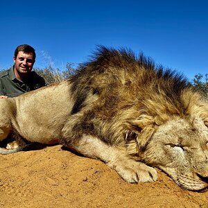 Lion Hunt South Africa