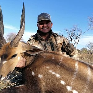 Bushbuck Bow Hunting Zambia