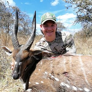 Bushbuck Bow Hunting Zambia