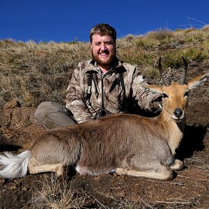 Hunting Mountain Reedbuck South Africa