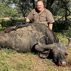 Buffalo Cow Hunt South Africa