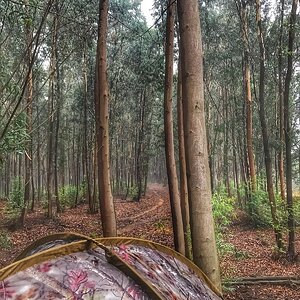 Hunting Camp Limpopo South Africa