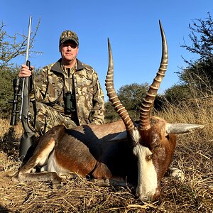 Blesbok Hunt Limpopo South Africa