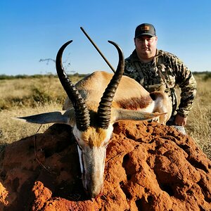 Springbok Hunt Limpopo South Africa