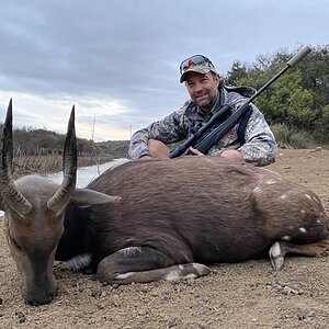 Bushbuck Hunt Eastern Cape South Africa