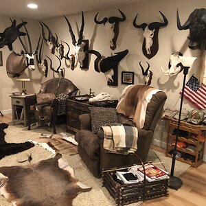 Trophy Room