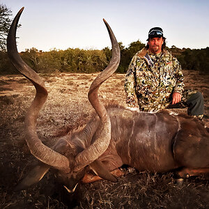 Kudu Hunt South Africa