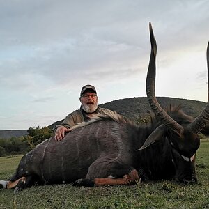 Nyala Hunting South Africa