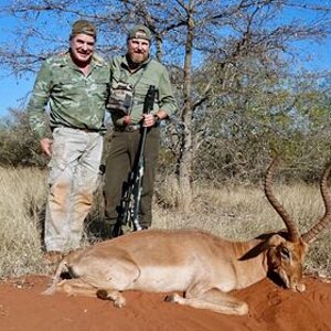 Imapla Hunting Limpopo South Africa