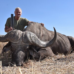 Hunting Buffalo