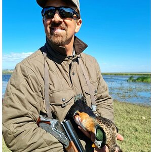 Chris Dorsey Collection Bird Hunt South Africa Zululand