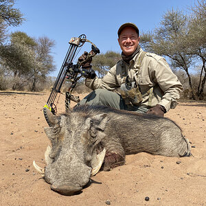 Bow Hunting Warthog South Africa