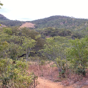 Hunting Terrain Zimbabwe