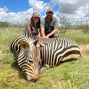 Hartmann’s Mountain Zebra Hunting Namibia