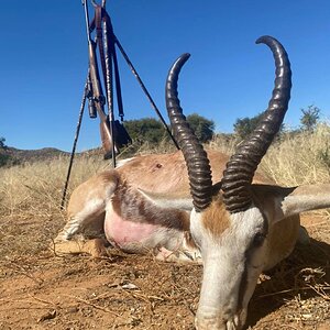 Springbok Hunting Namibia