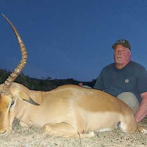 Impala Hunting South Africa