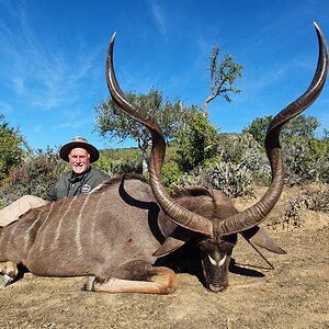 Kudu Hunting South Africa