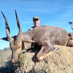 Bushbuck Hunting South Africa