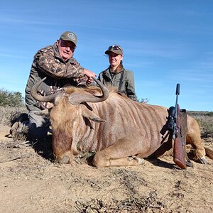 Golden Wildebeest Hunting South Africa