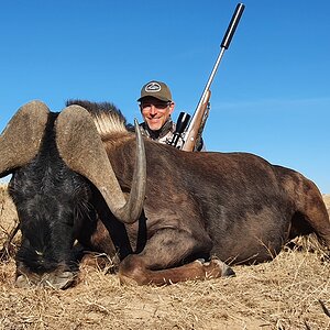 Black Wildebeest Hunt South Africa